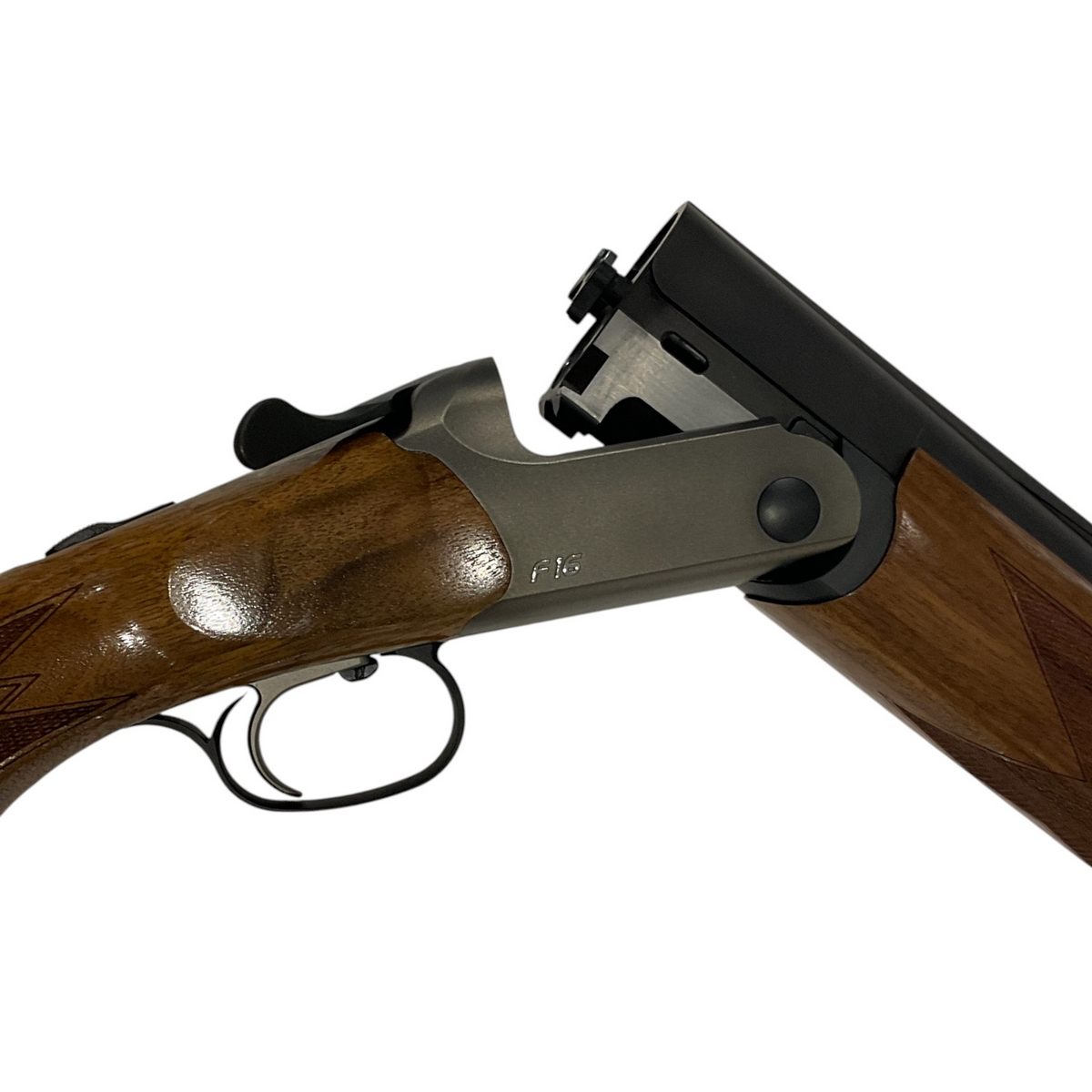 Blaser F16