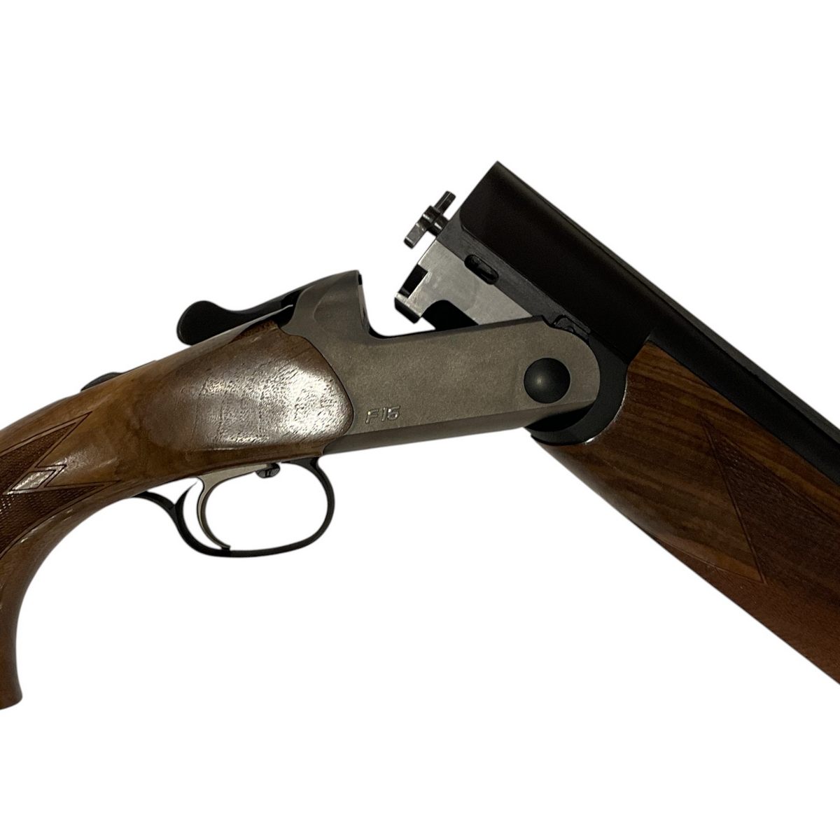 Blaser F16