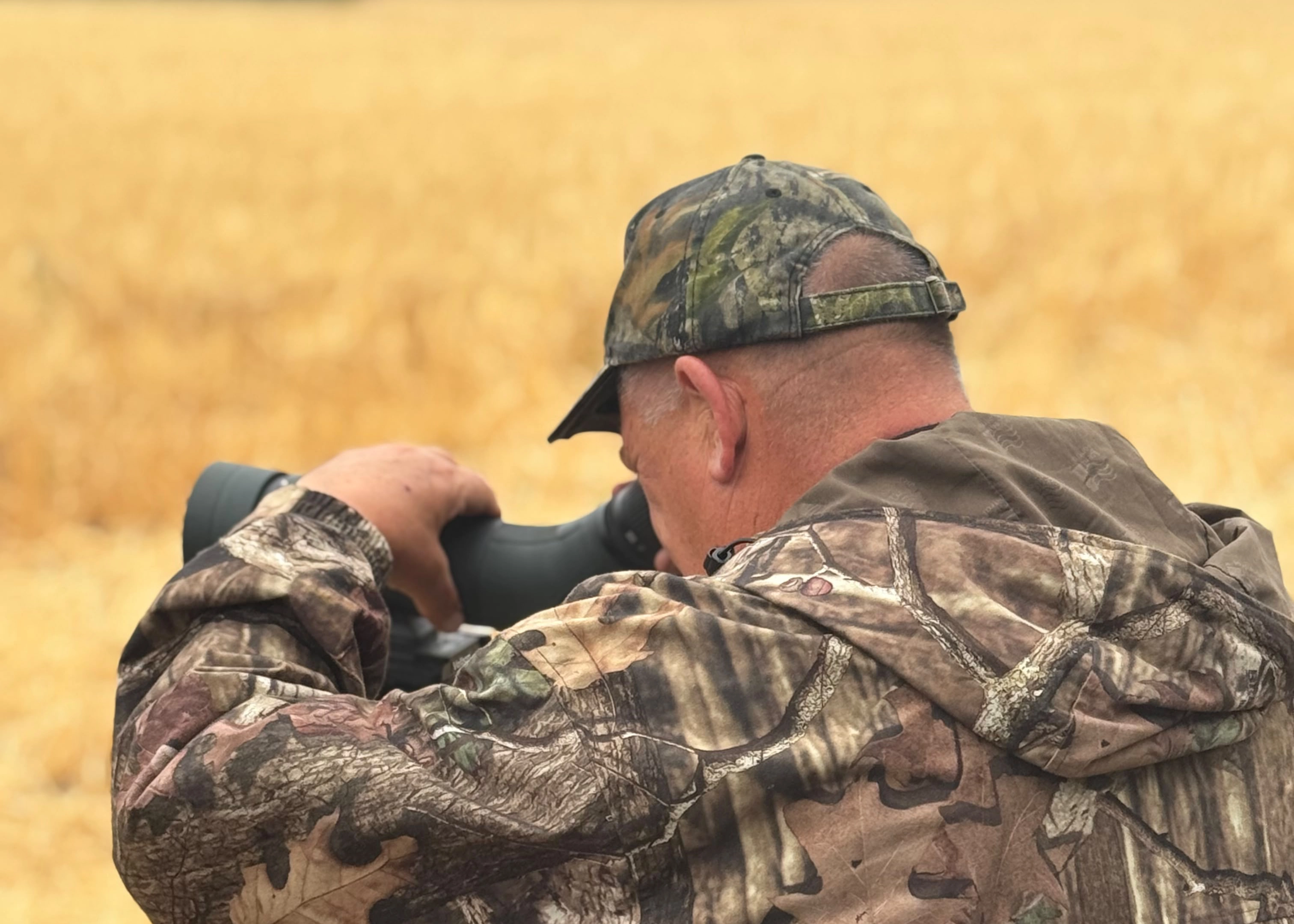 Somerset | Fallow hunting