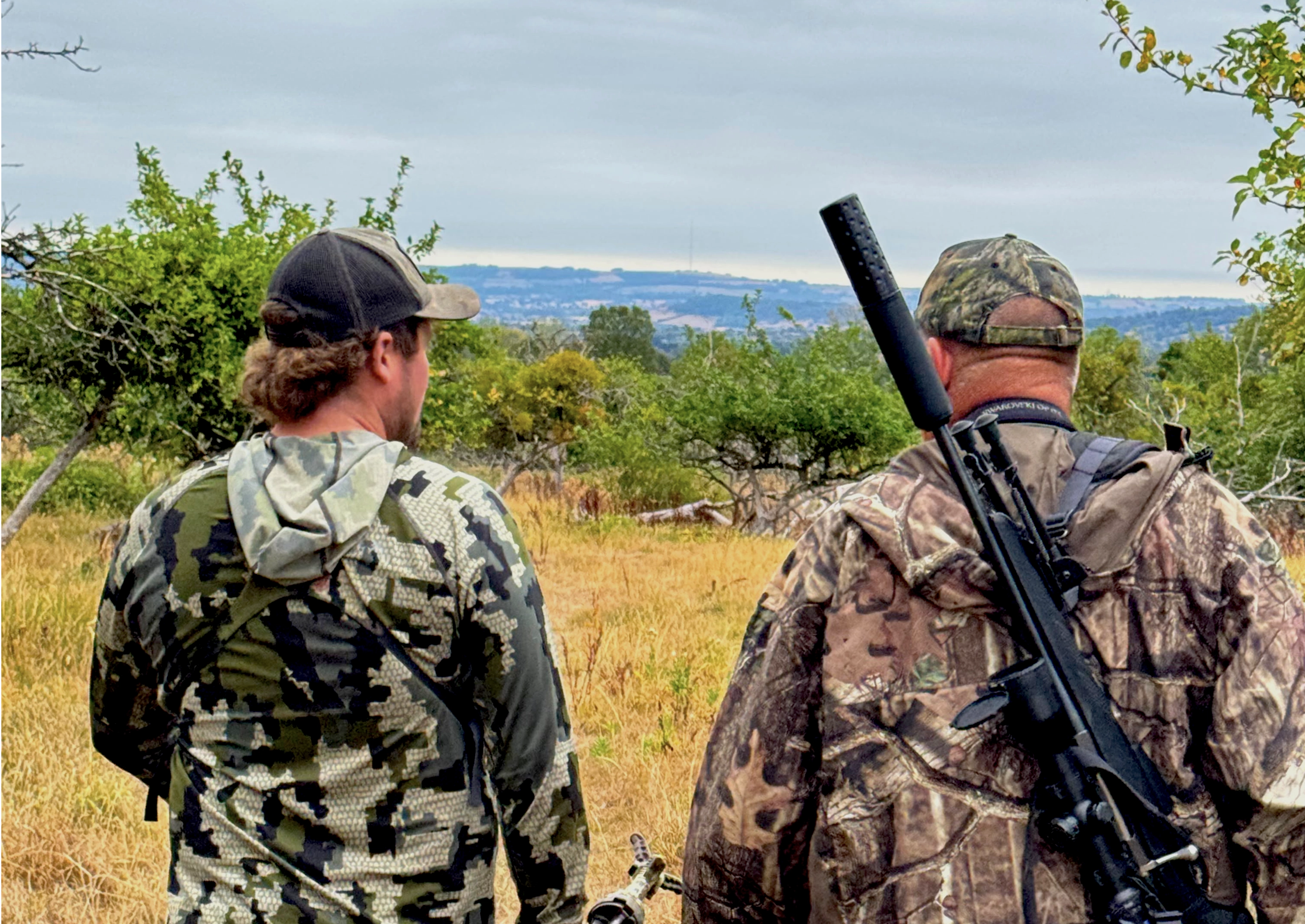 Somerset | Roe hunting