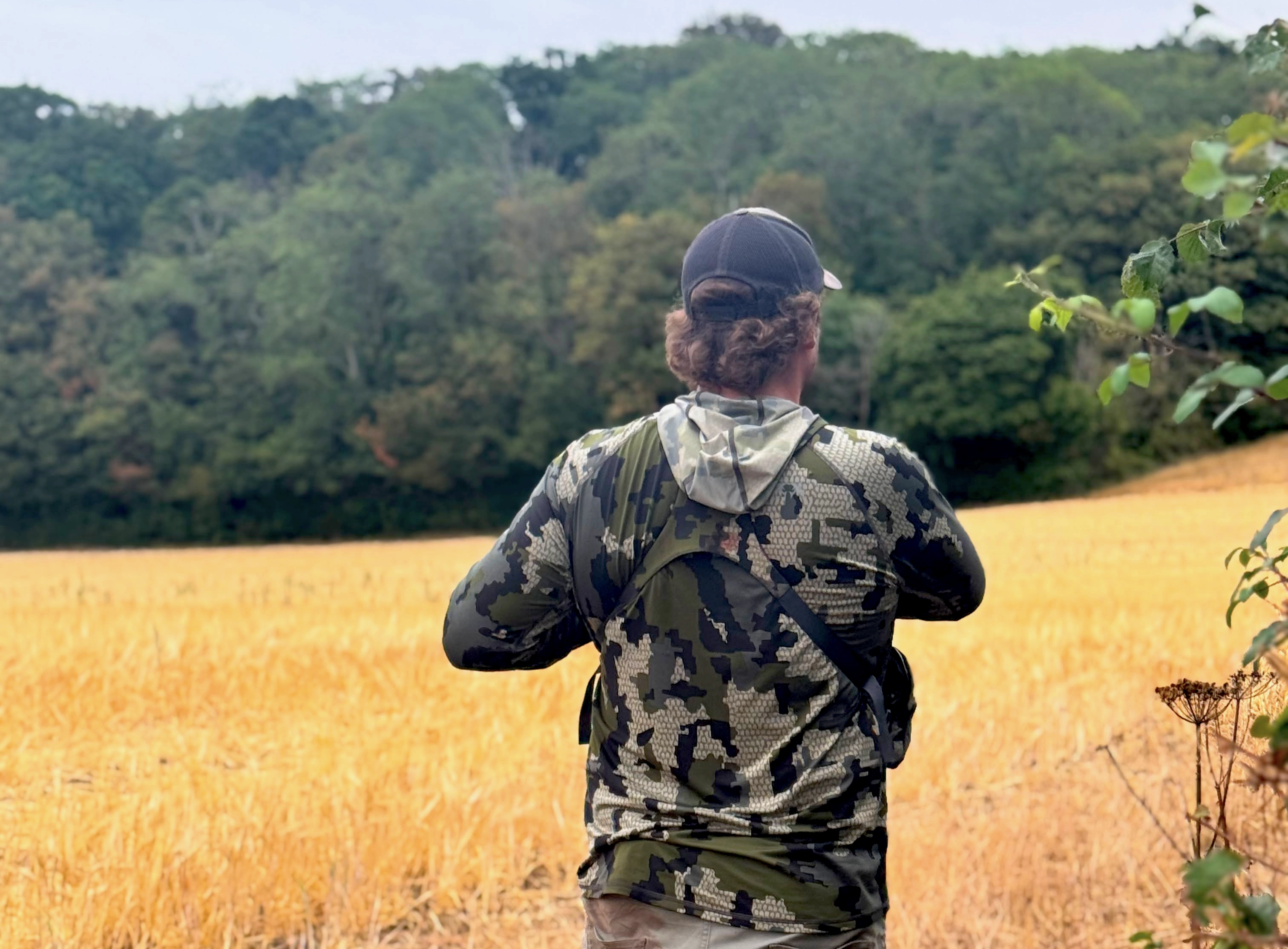 Somerset | Roe hunting