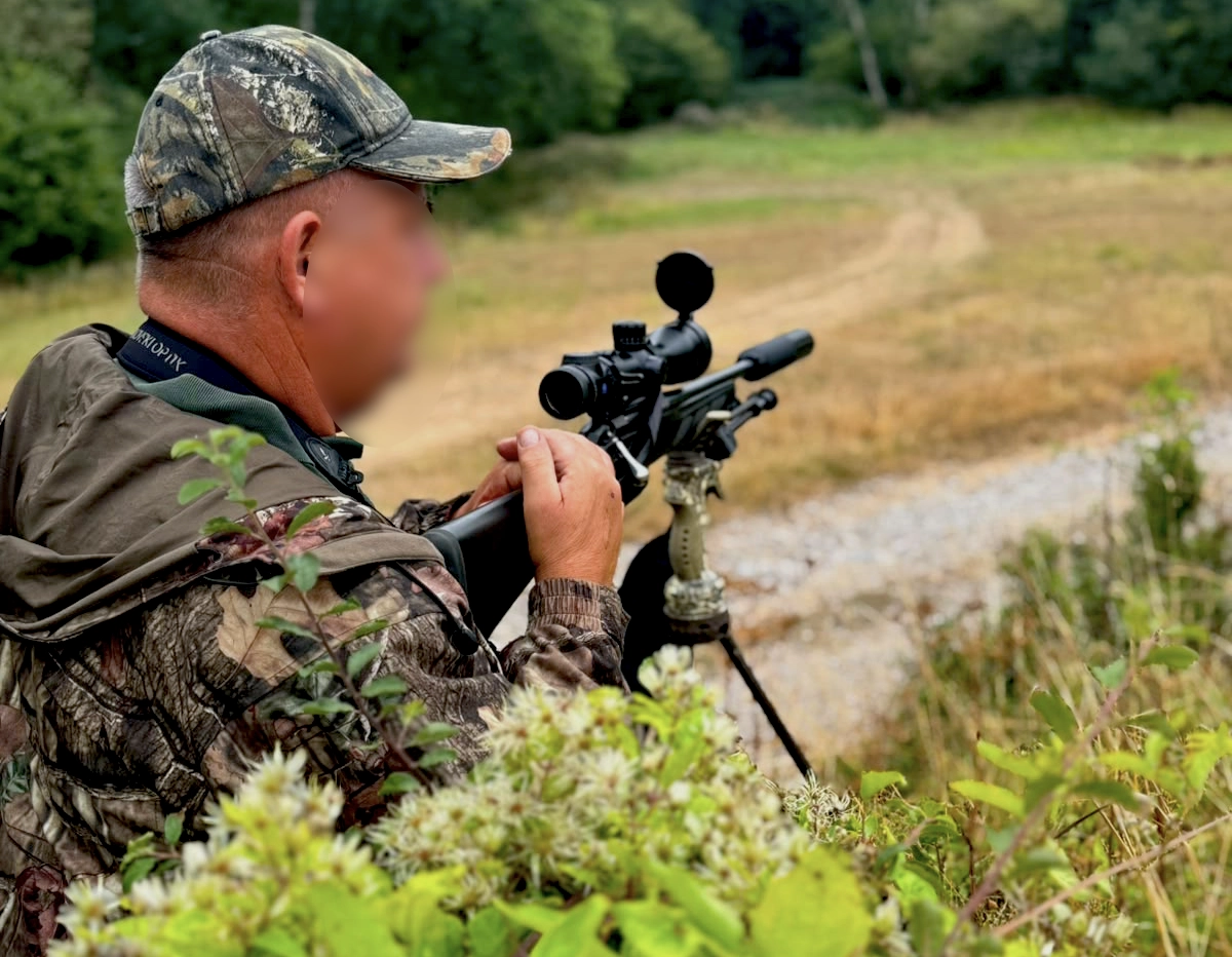 Somerset | Roe hunting