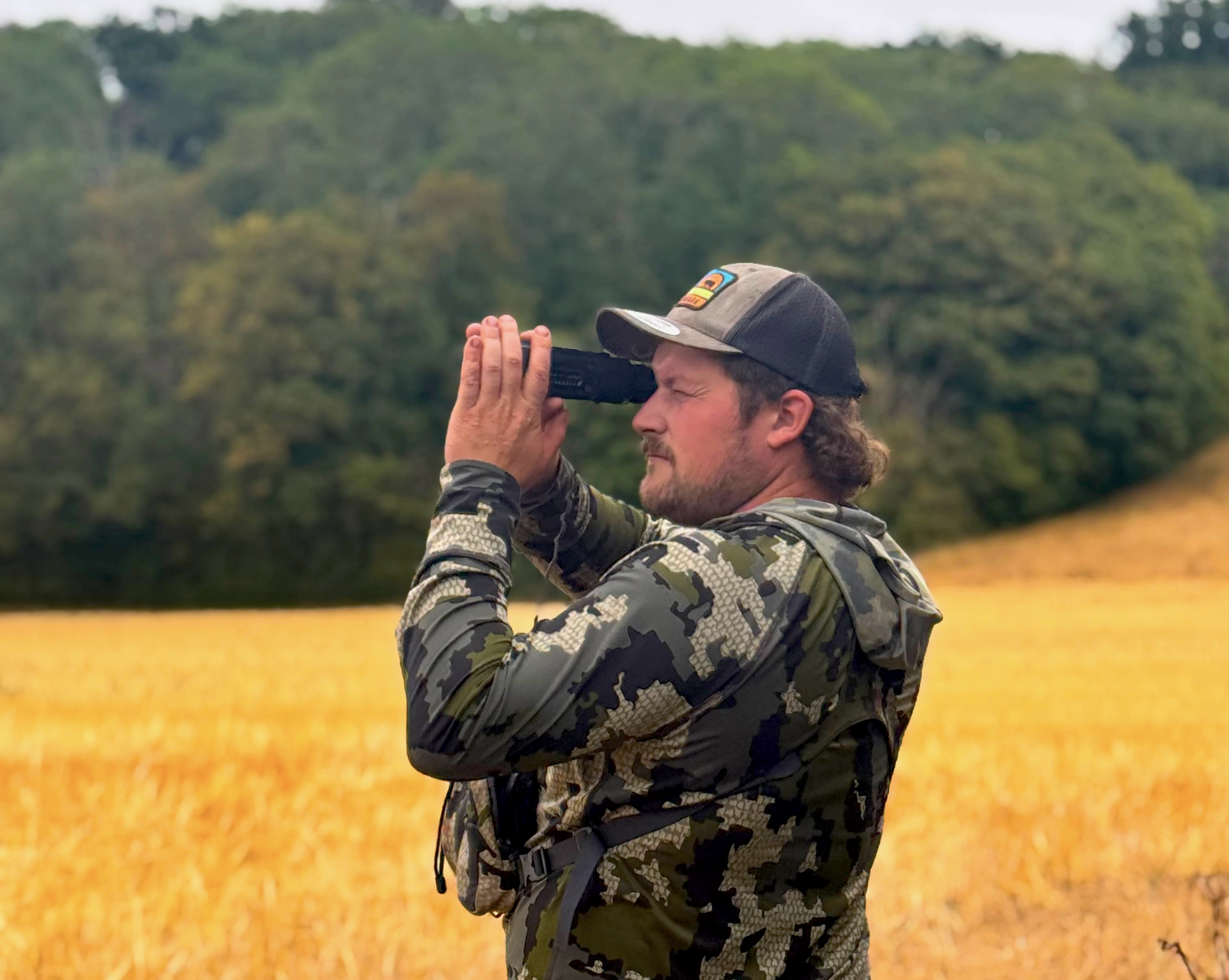 Somerset | Roe hunting