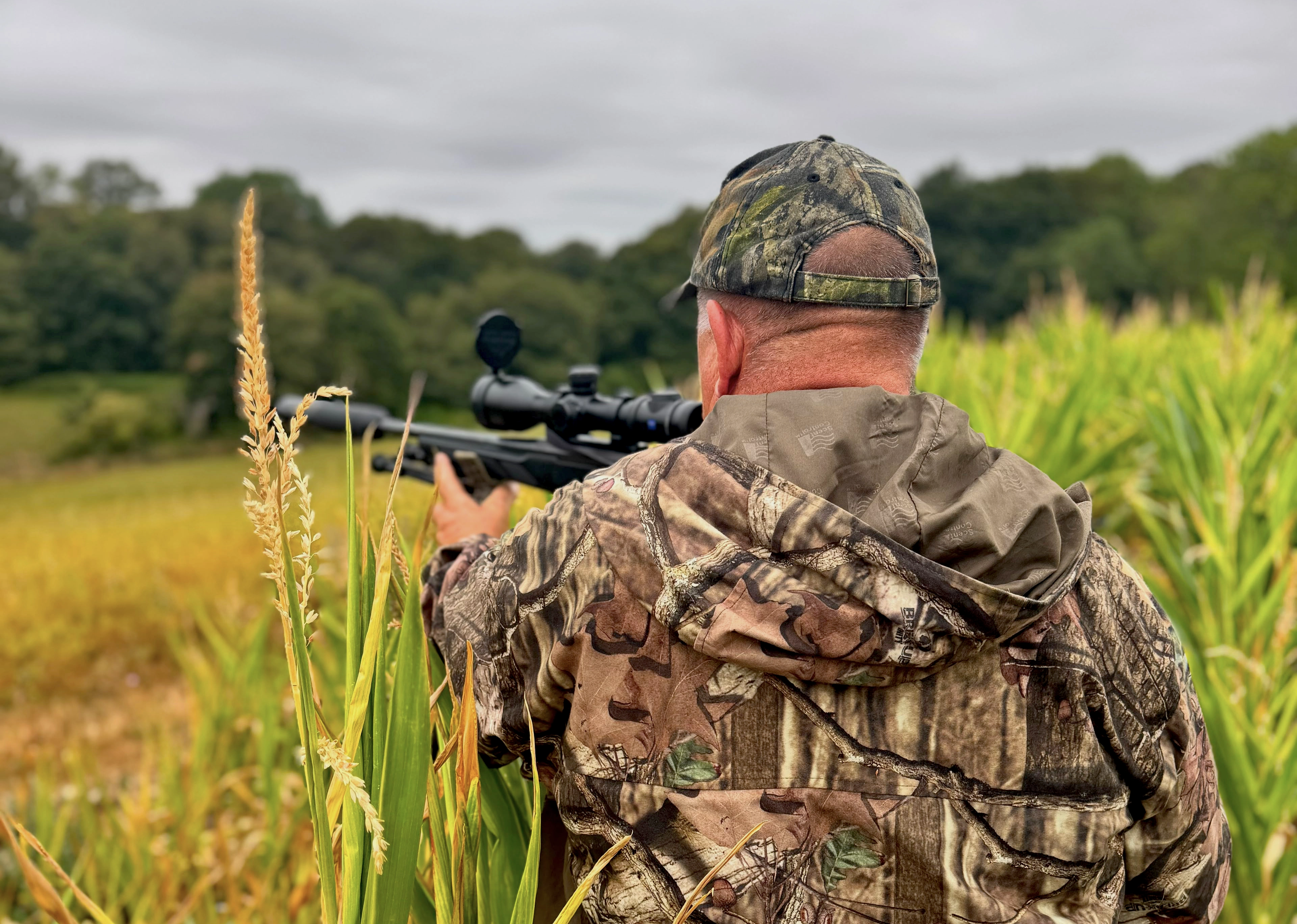 Somerset | Roe Buck Rut Hunting
