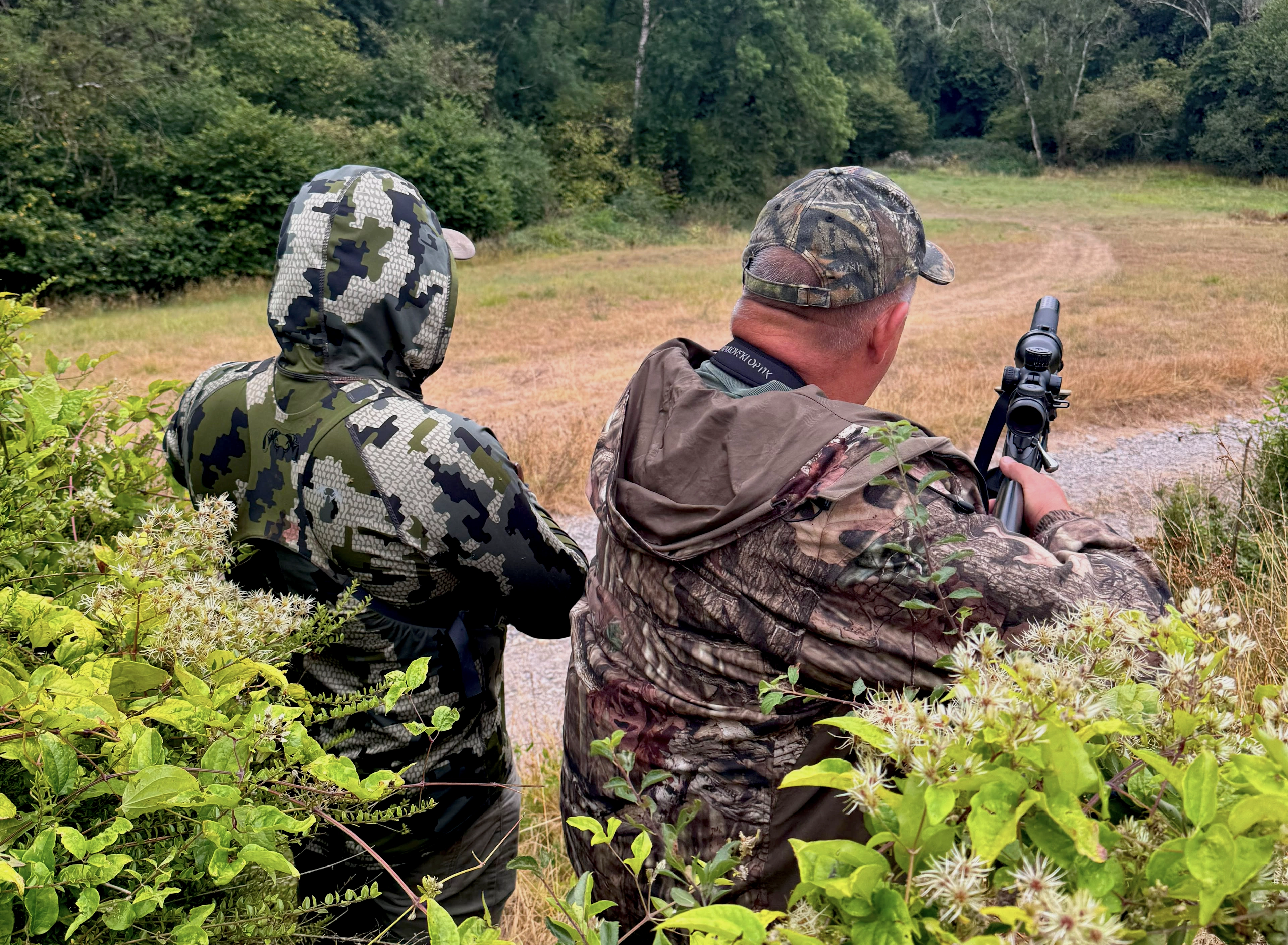 Somerset | Roe Buck Rut Hunting