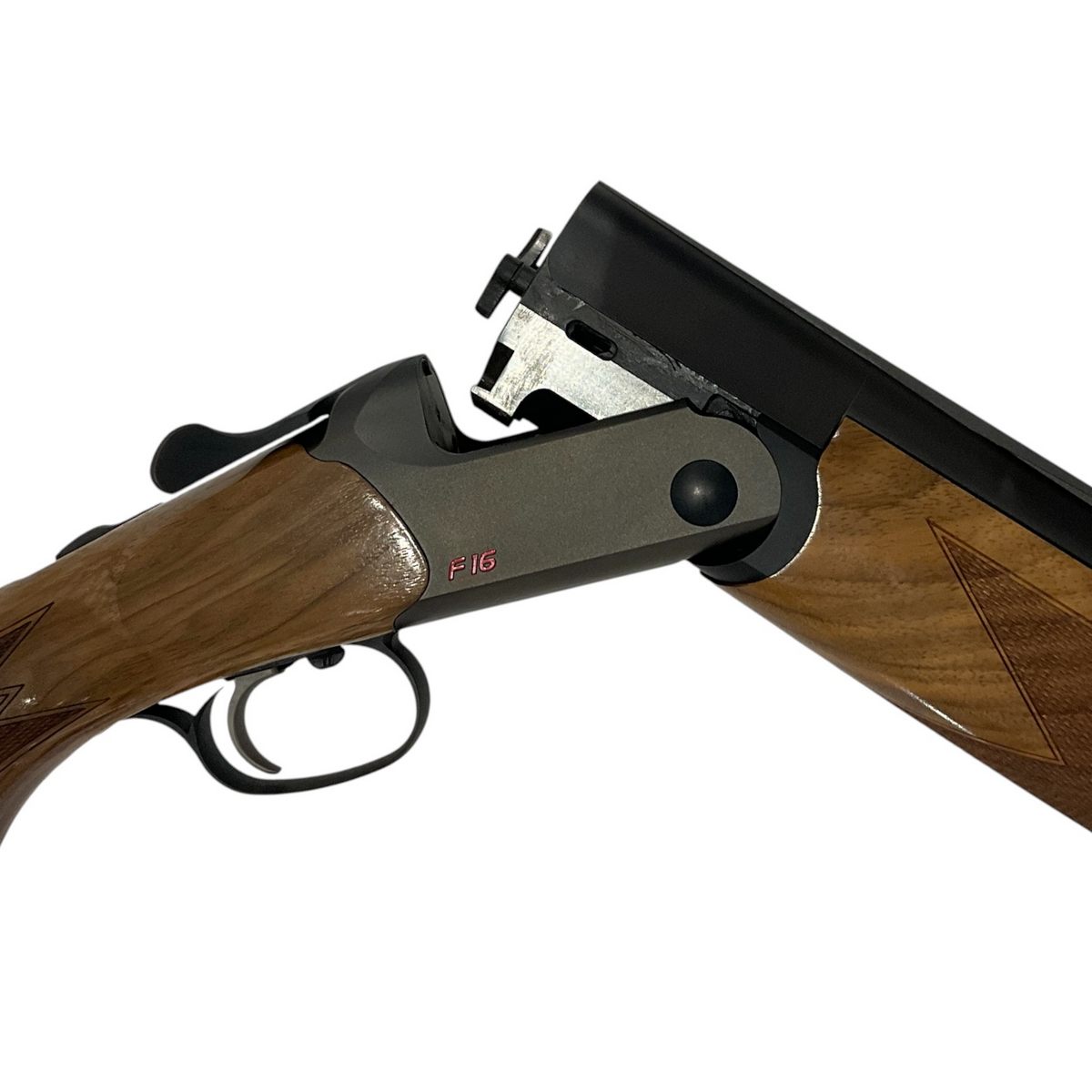 Blaser F16