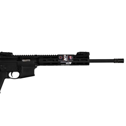 Firearm: Smith and Wesson MandP 15-22 Black MagPul
