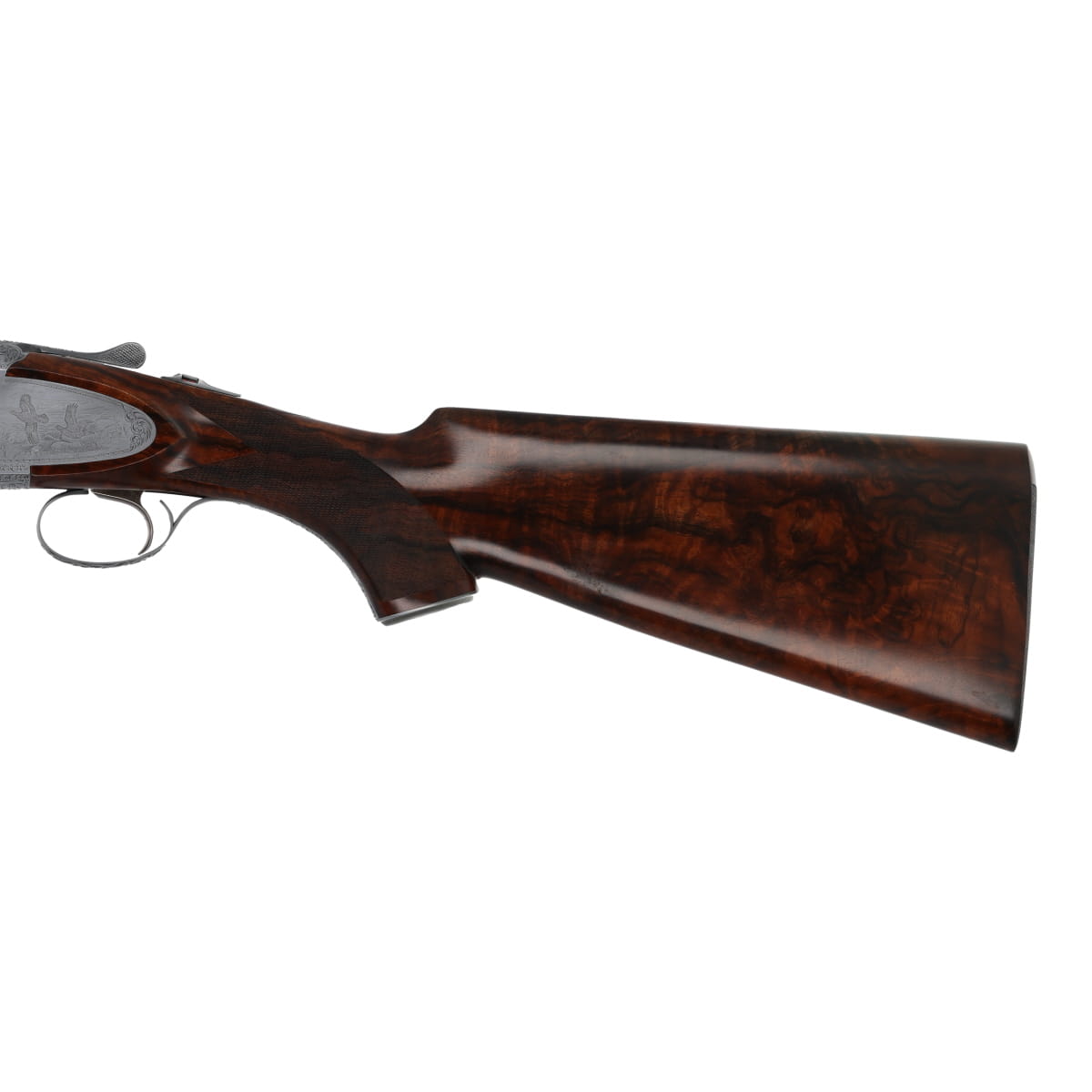 Rizzini Artemis