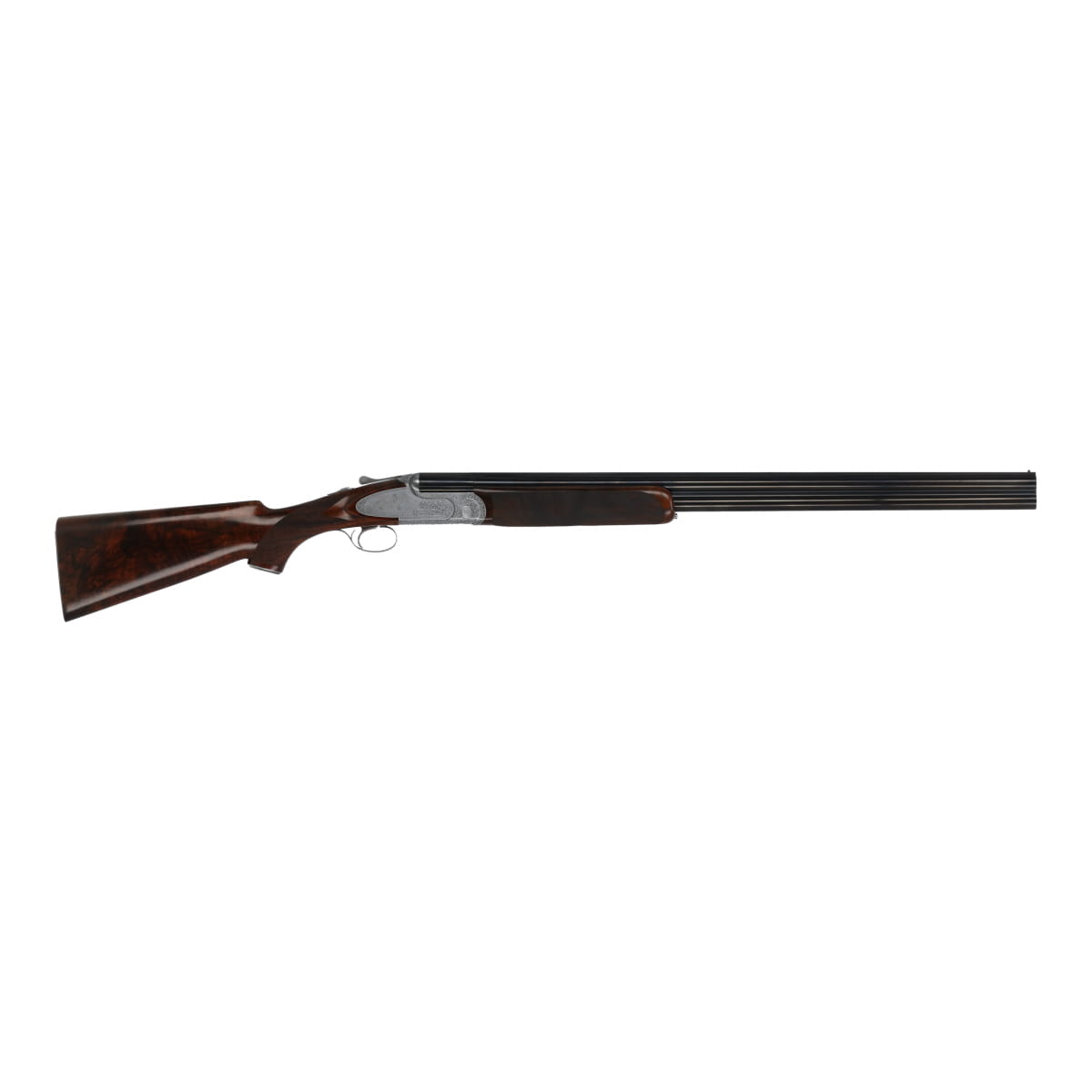 Rizzini Artemis