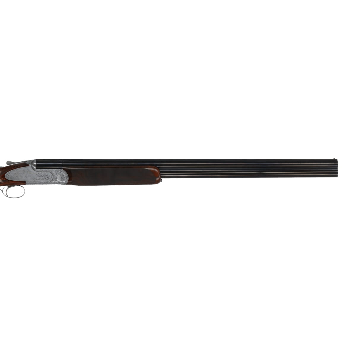 Rizzini Artemis