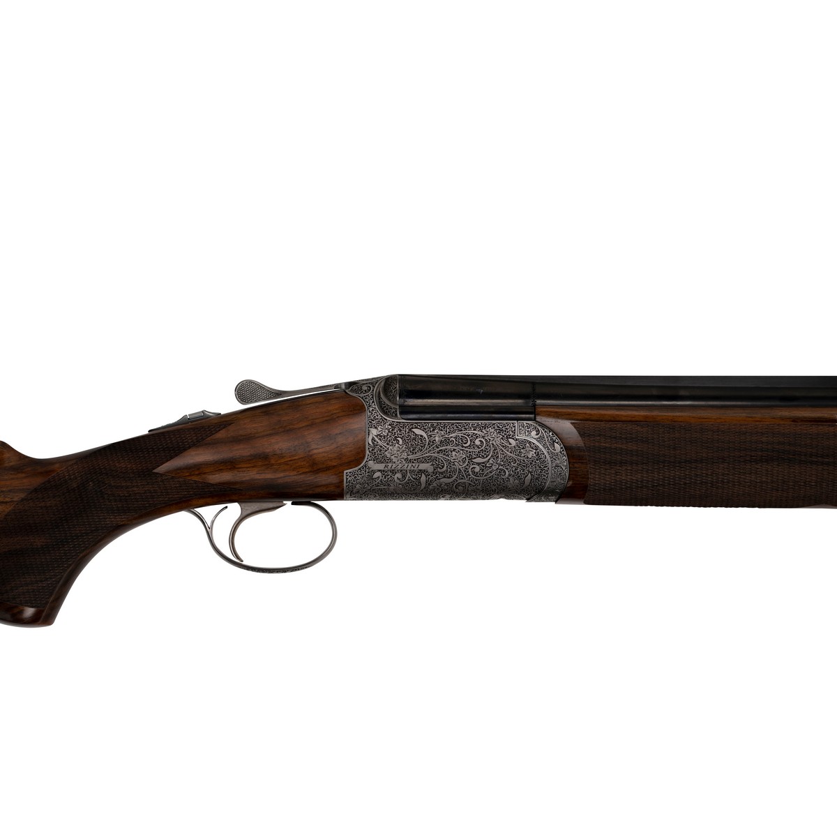 Rizzini Venus