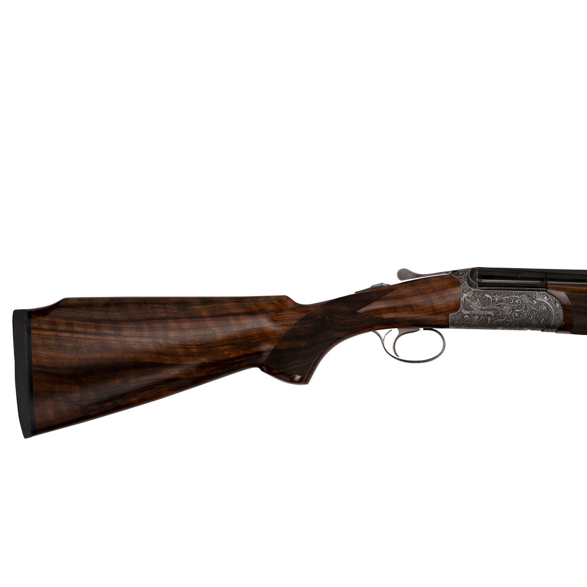 Rizzini Venus