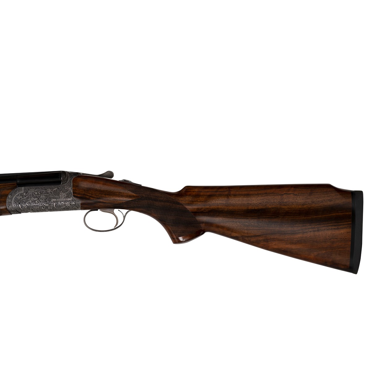 Rizzini Venus