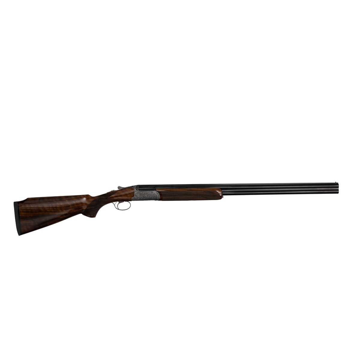 Rizzini Venus
