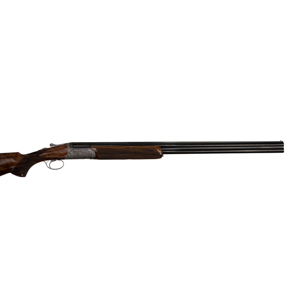 Rizzini Venus