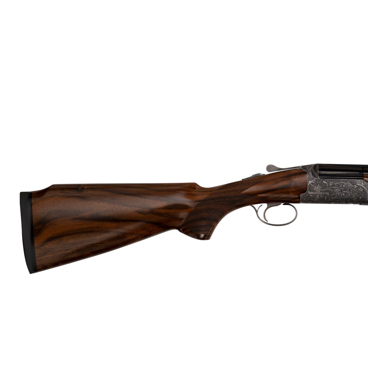 Rizzini Venus