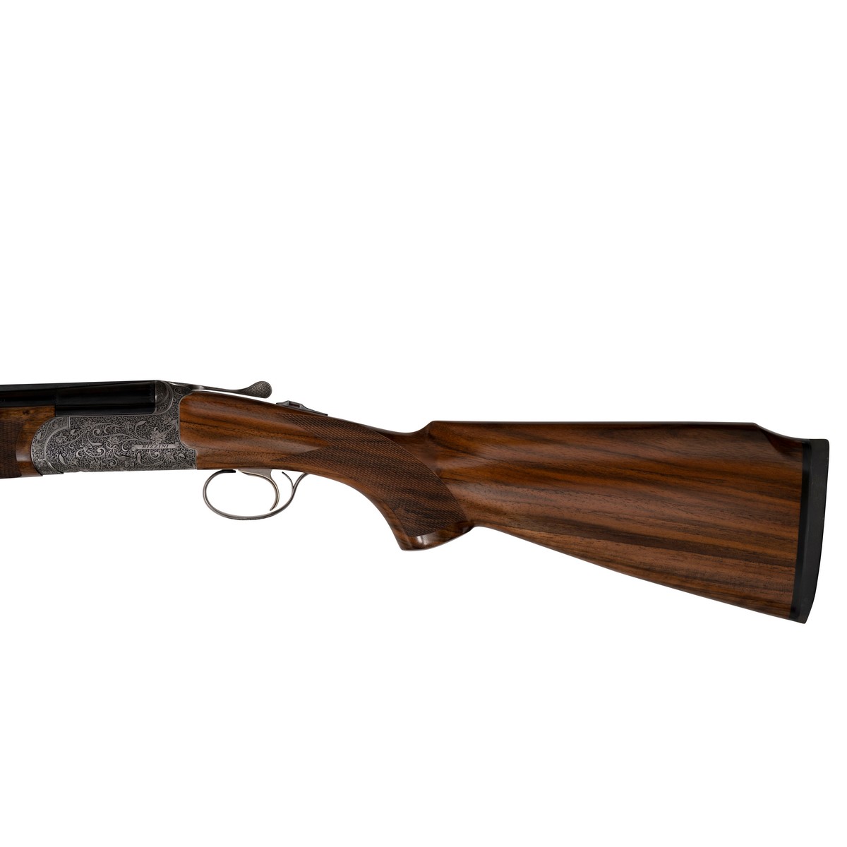 Rizzini Venus