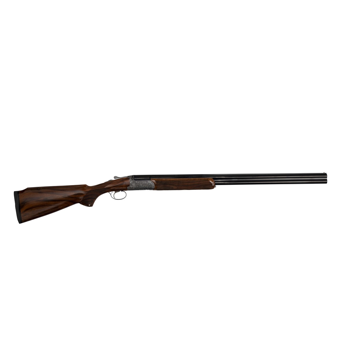 Rizzini Venus