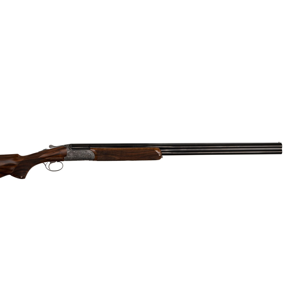 Rizzini Venus