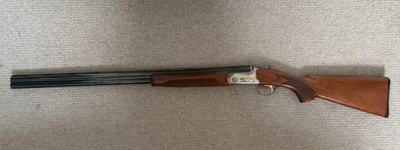 Firearm: Bettinsoli Silver 