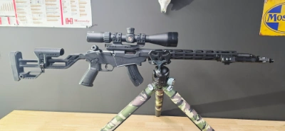 Firearm: Ruger Precision 
