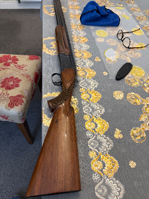 Firearm: Winchester L400 