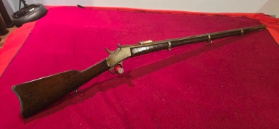 Firearm: Remington Rolling Block 