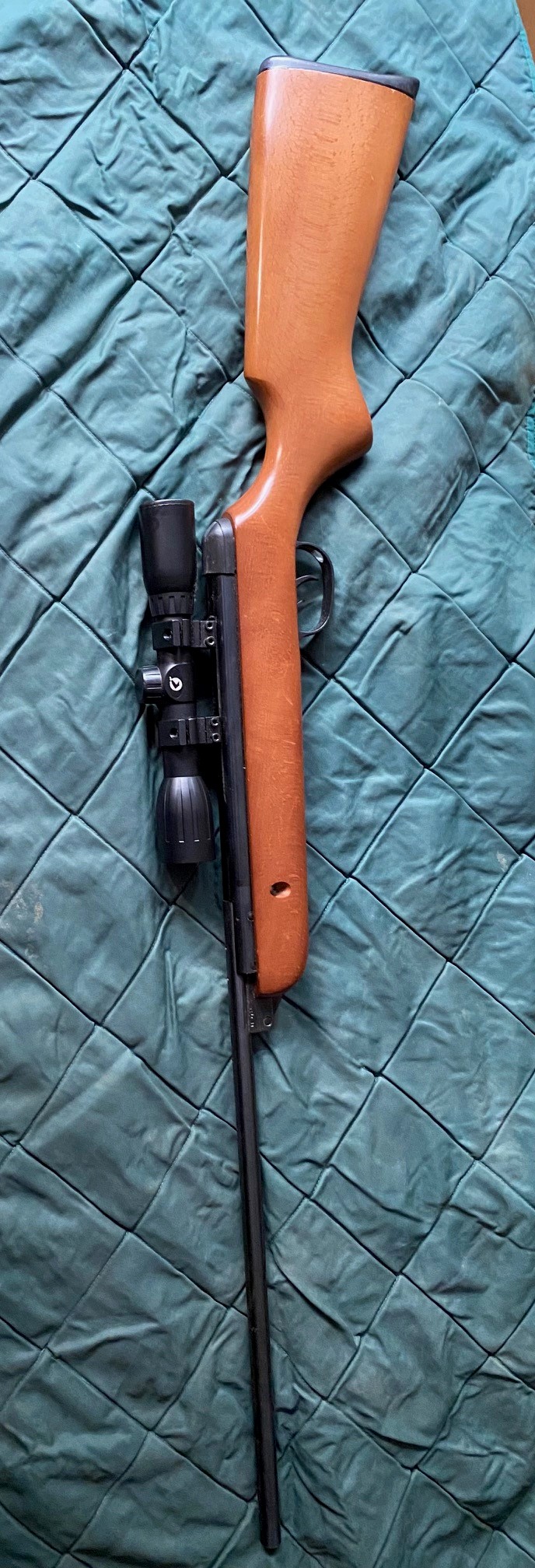 BSA Meteor