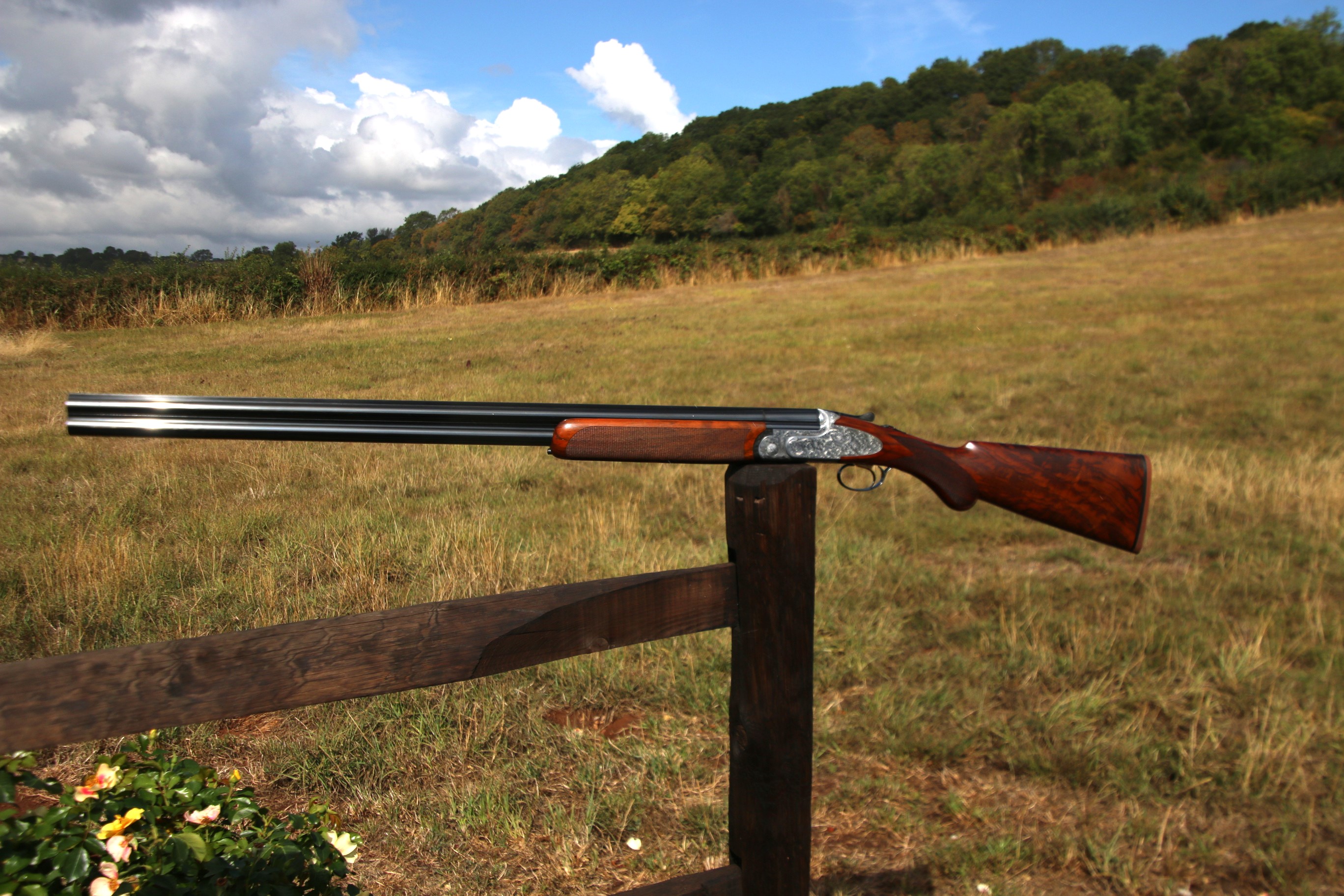 Rizzini Artemis