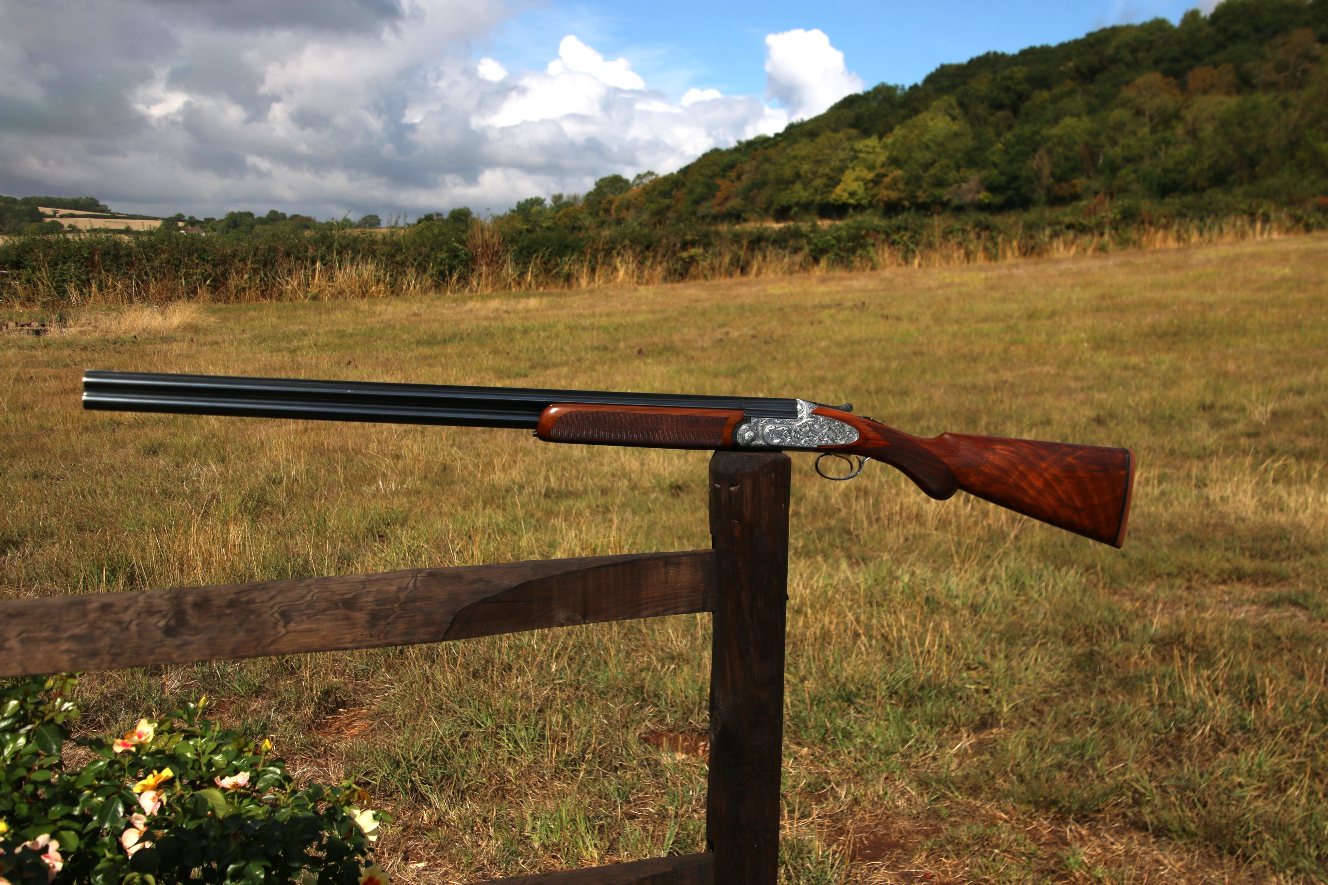 Rizzini Artemis