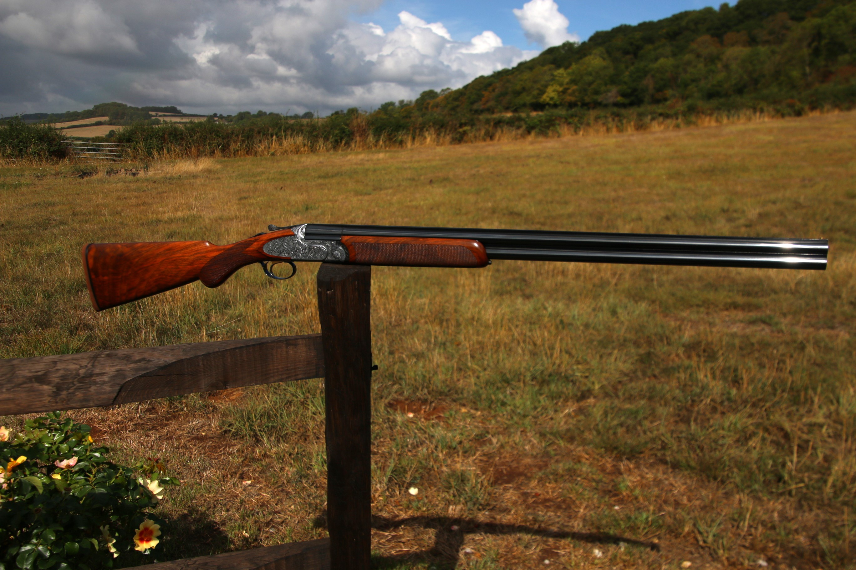 Rizzini Artemis