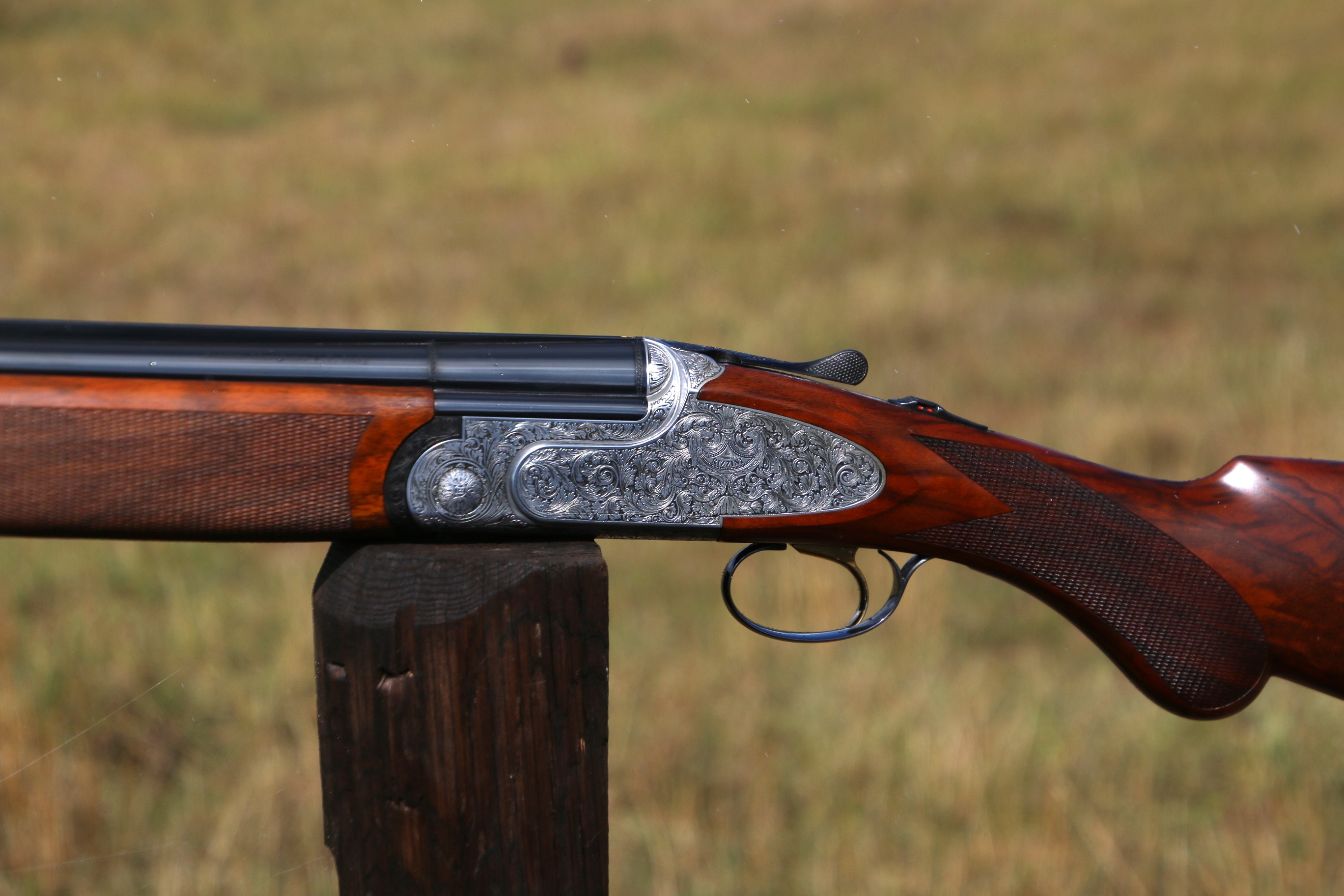 Rizzini Artemis