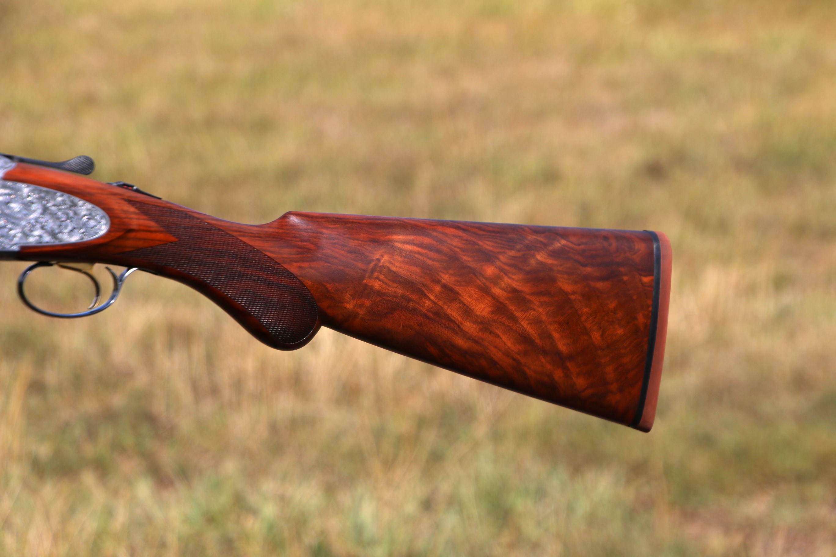 Rizzini Artemis