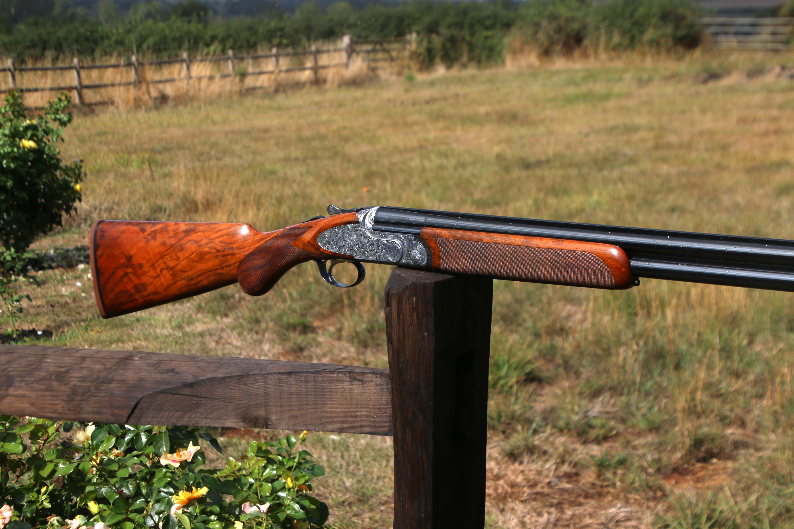 Rizzini Artemis