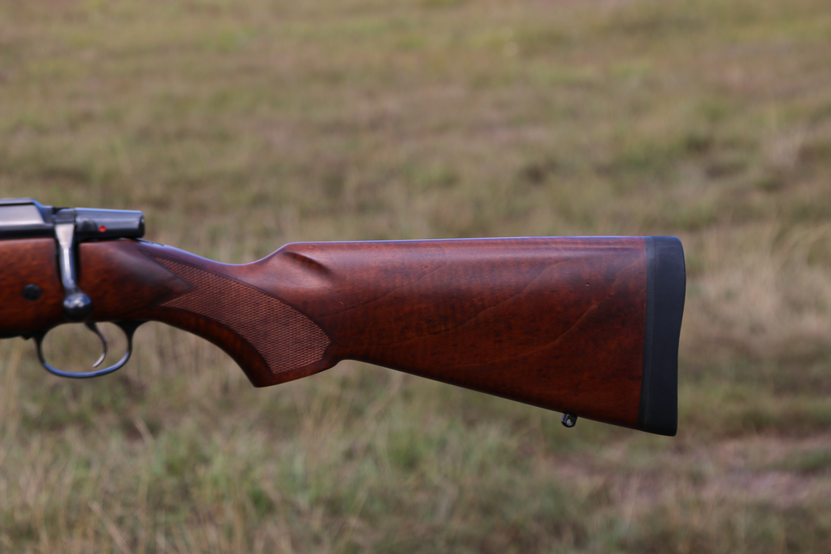 CZ 550 Magnum
