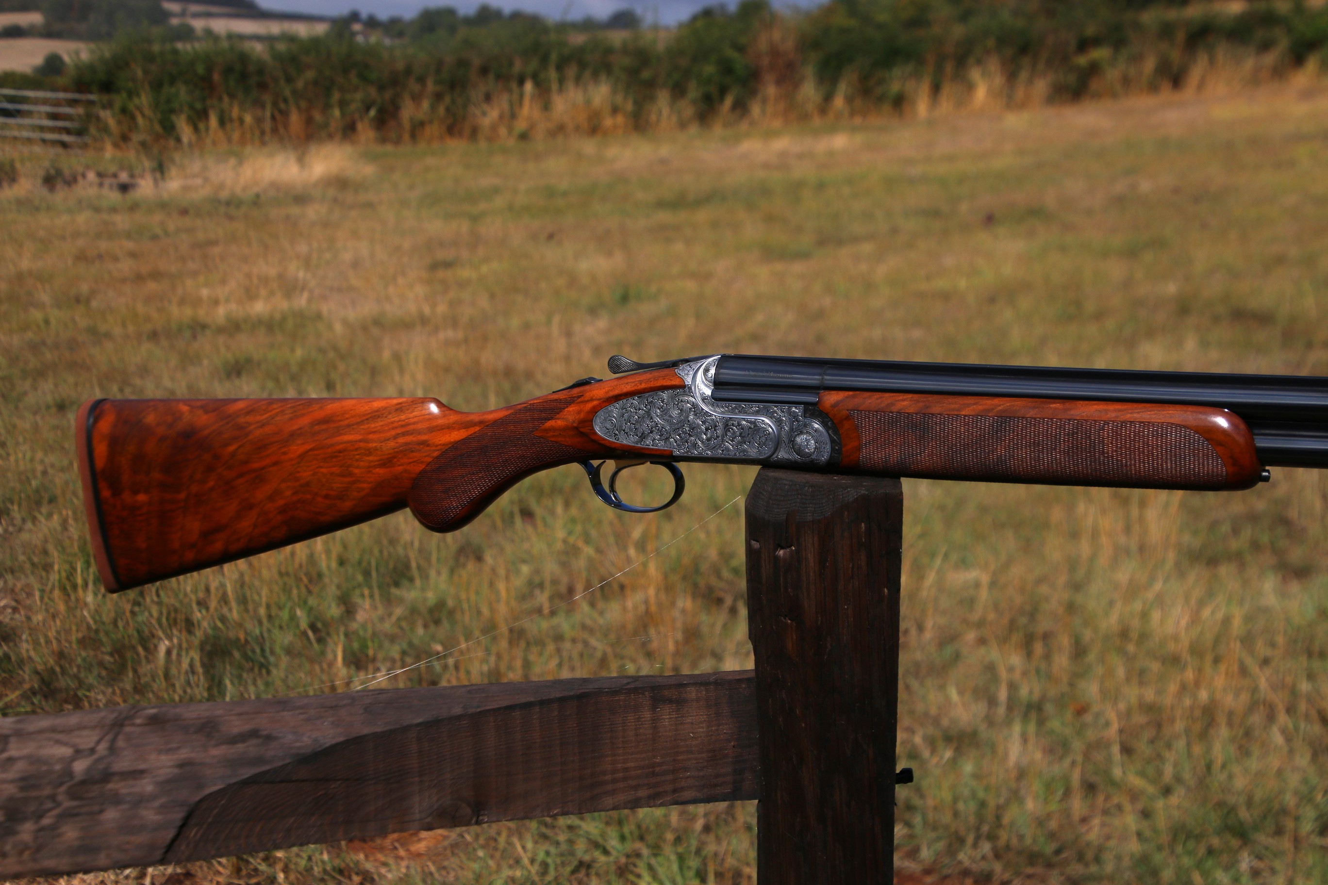 Rizzini Artemis