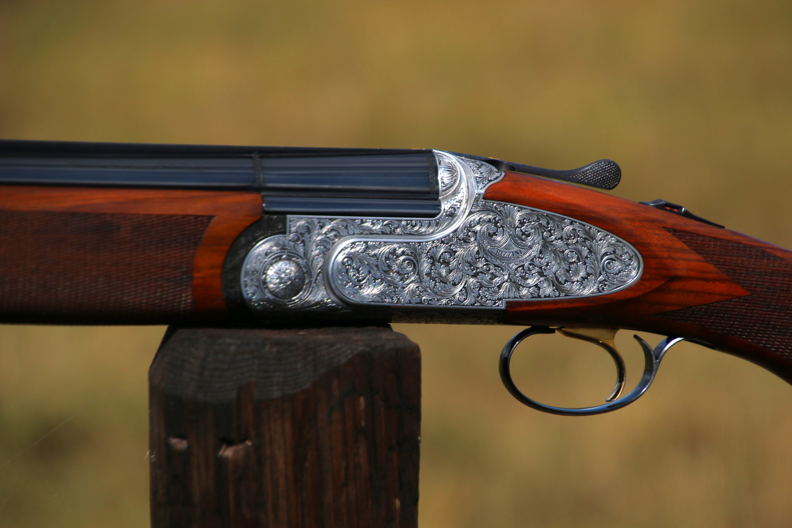 Rizzini Artemis