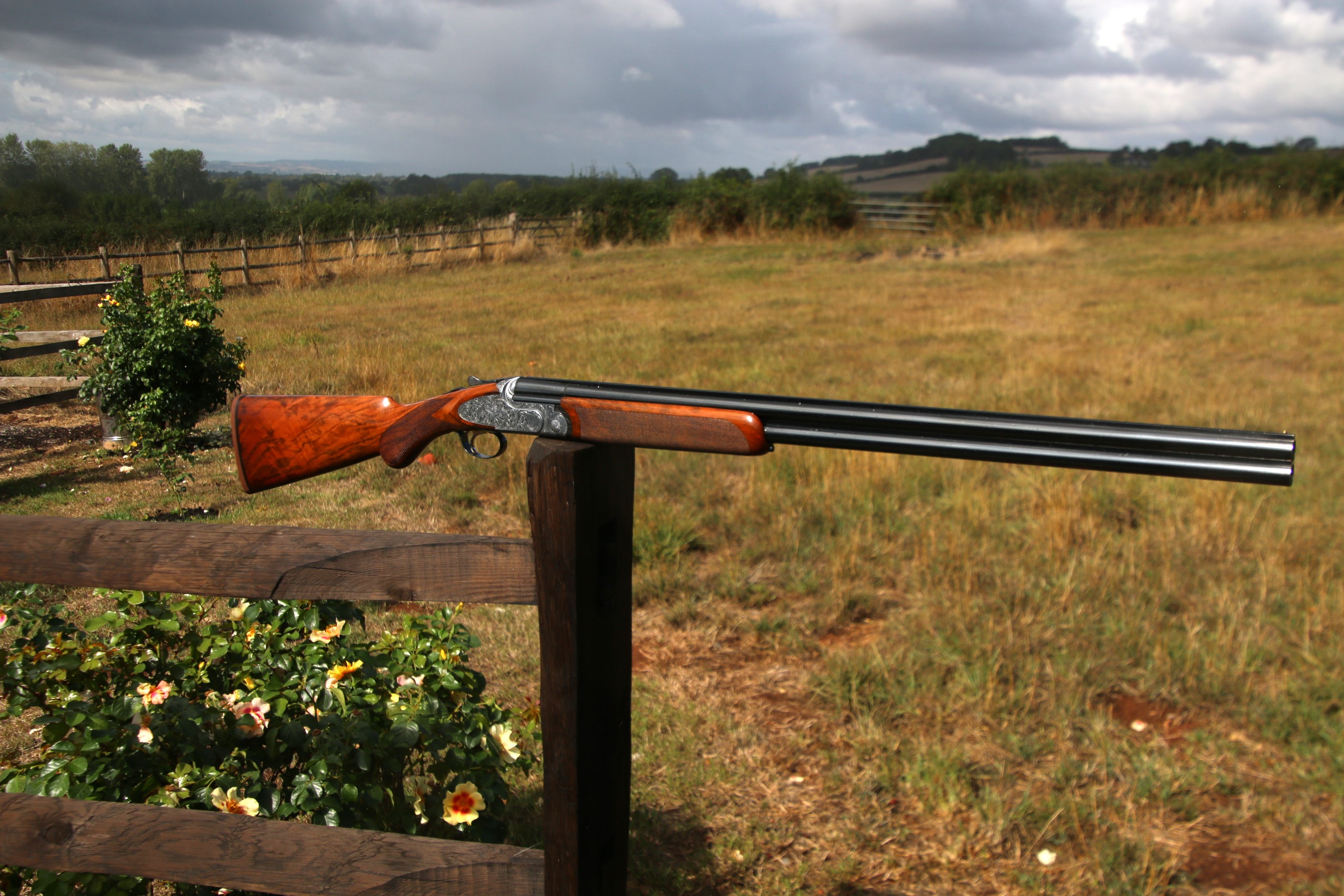 Rizzini Artemis