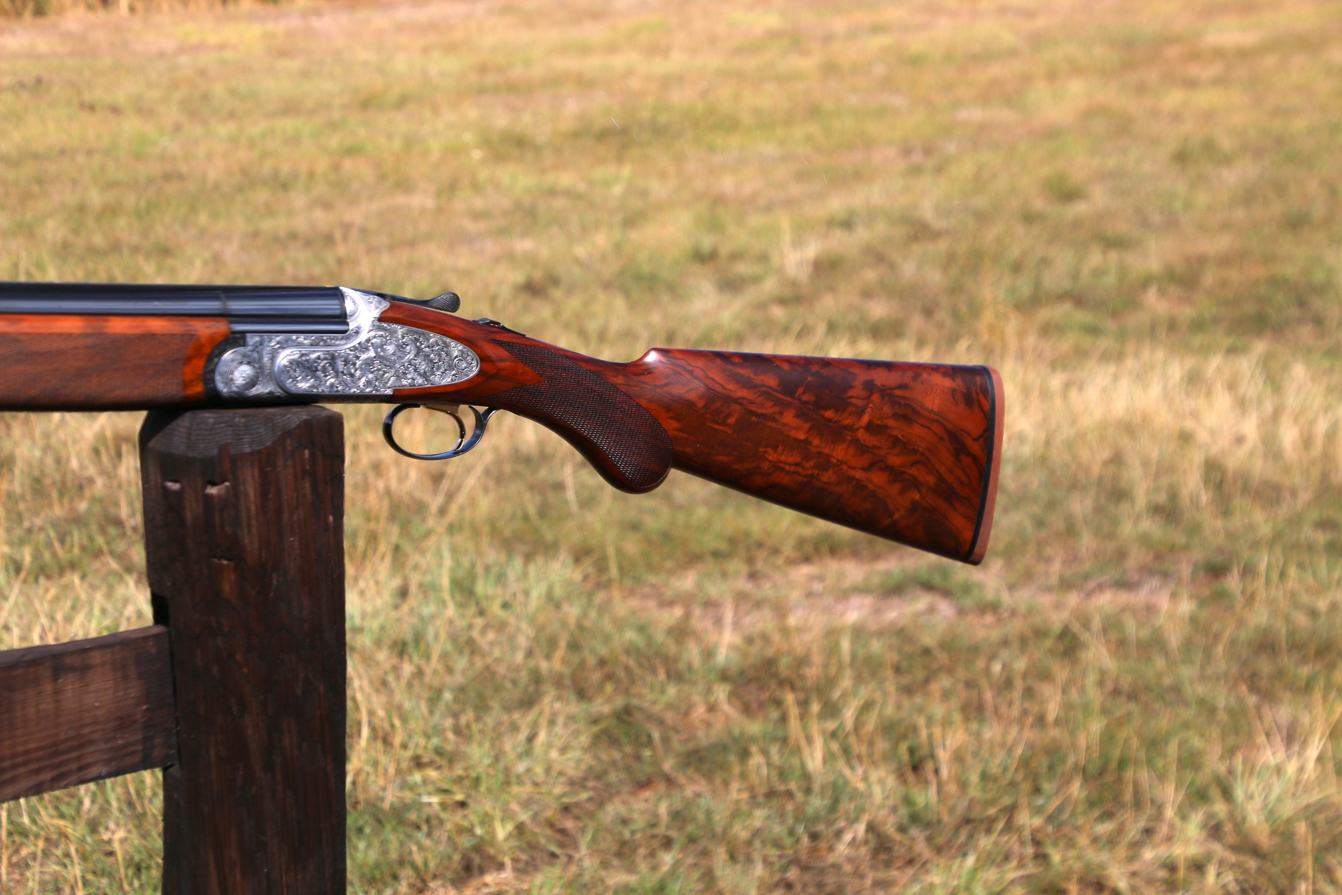 Rizzini Artemis