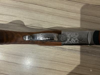 Firearm: Beretta 690 Game