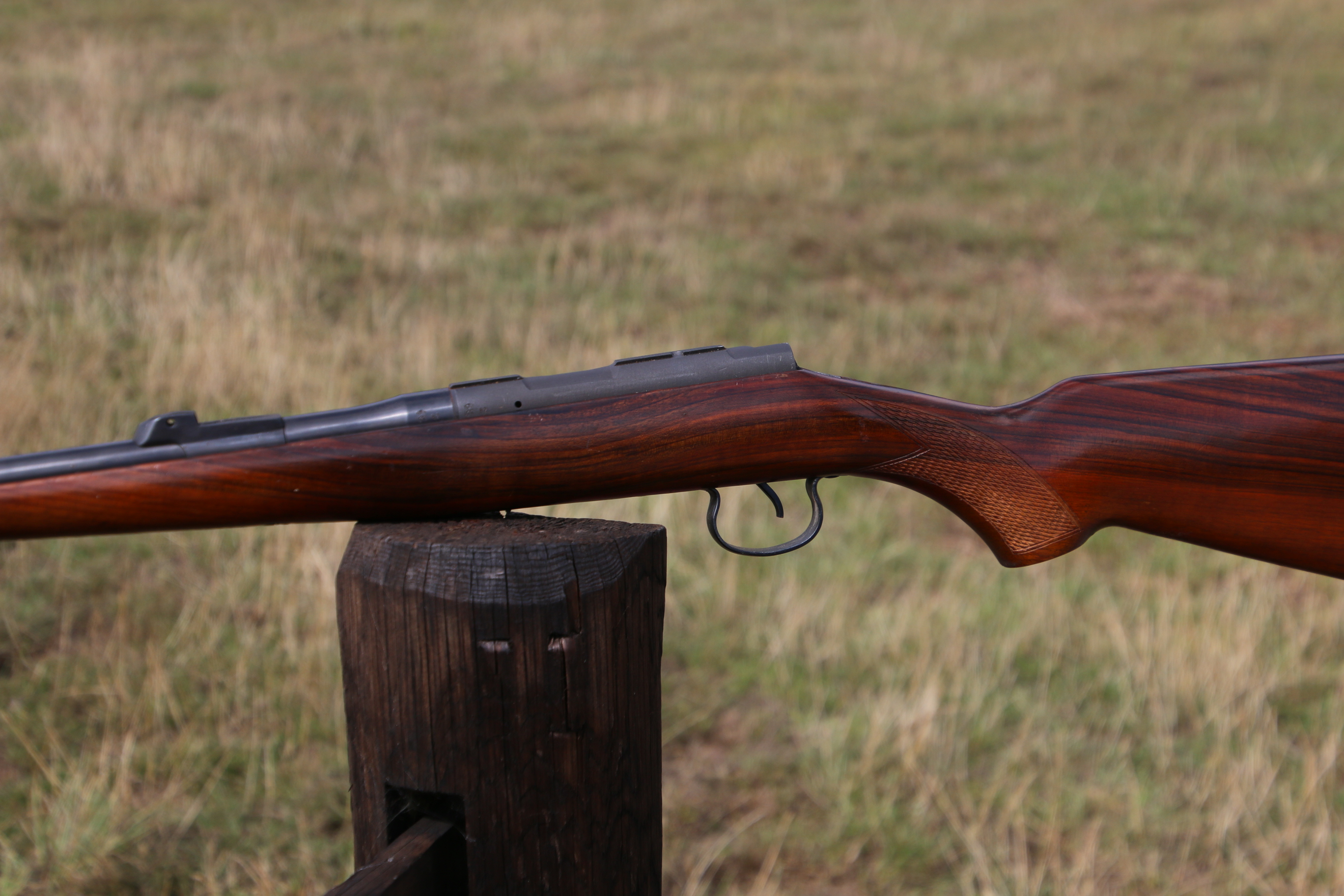 CZ Mod 2