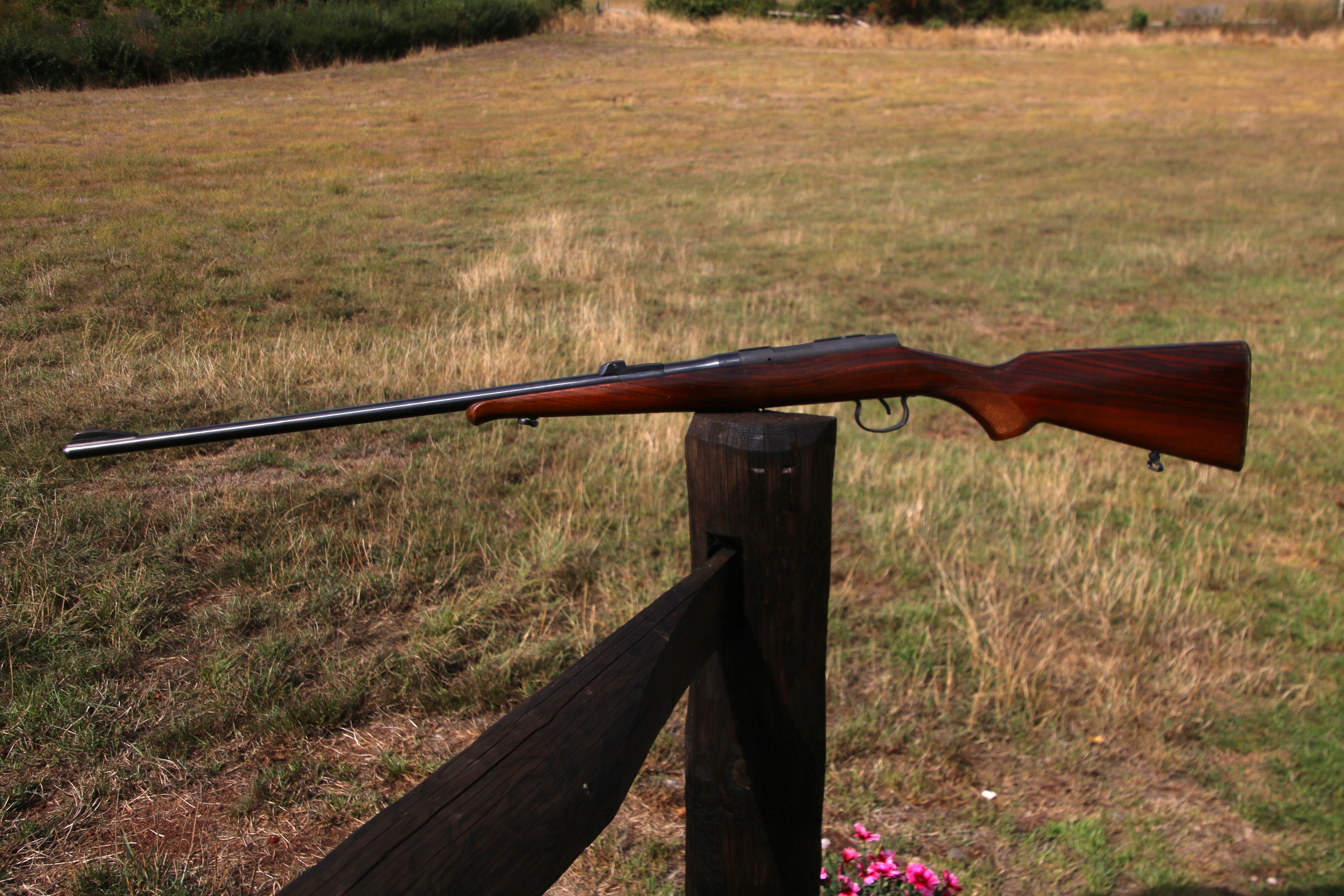 CZ Mod 2