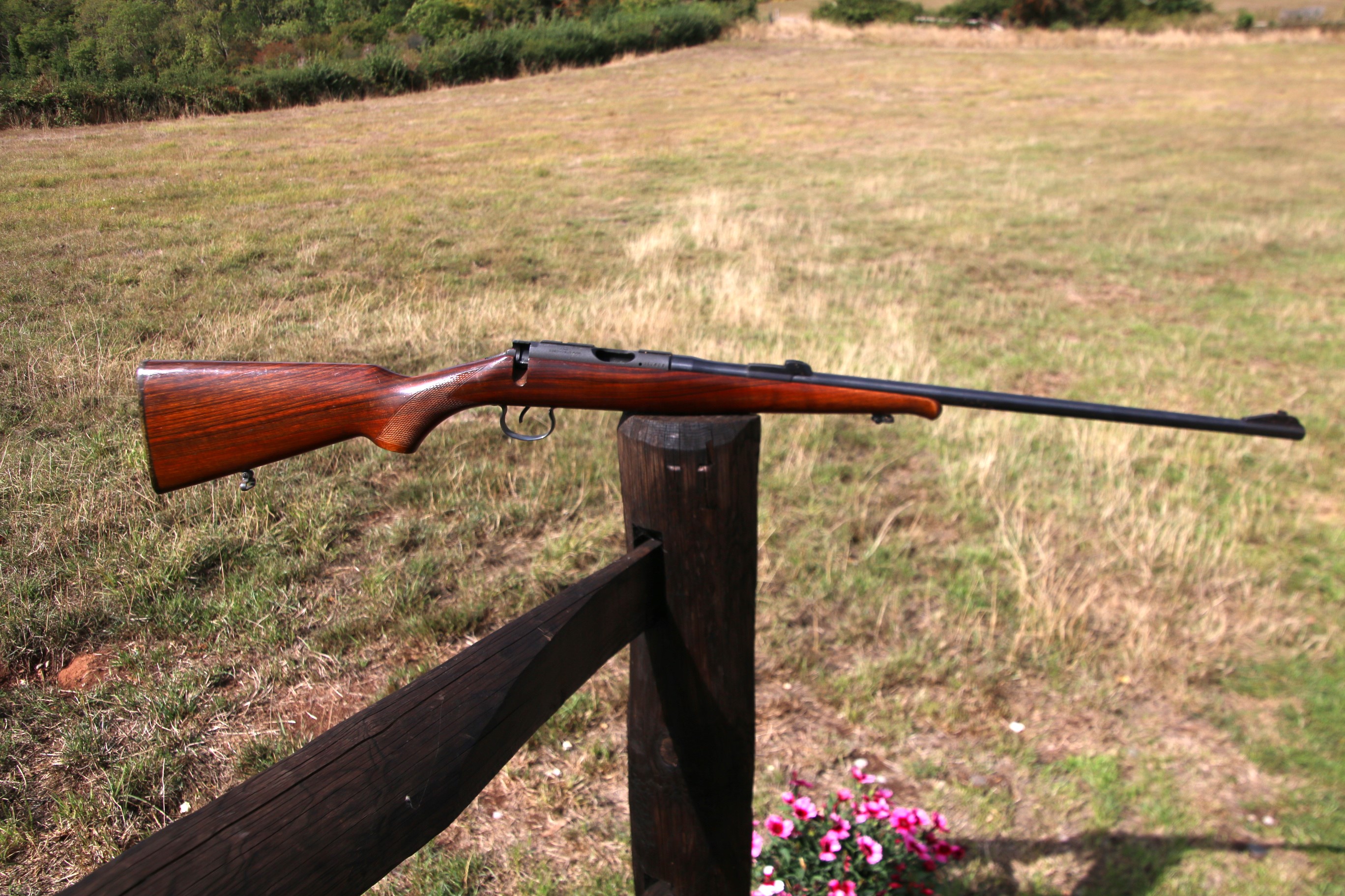 CZ Mod 2