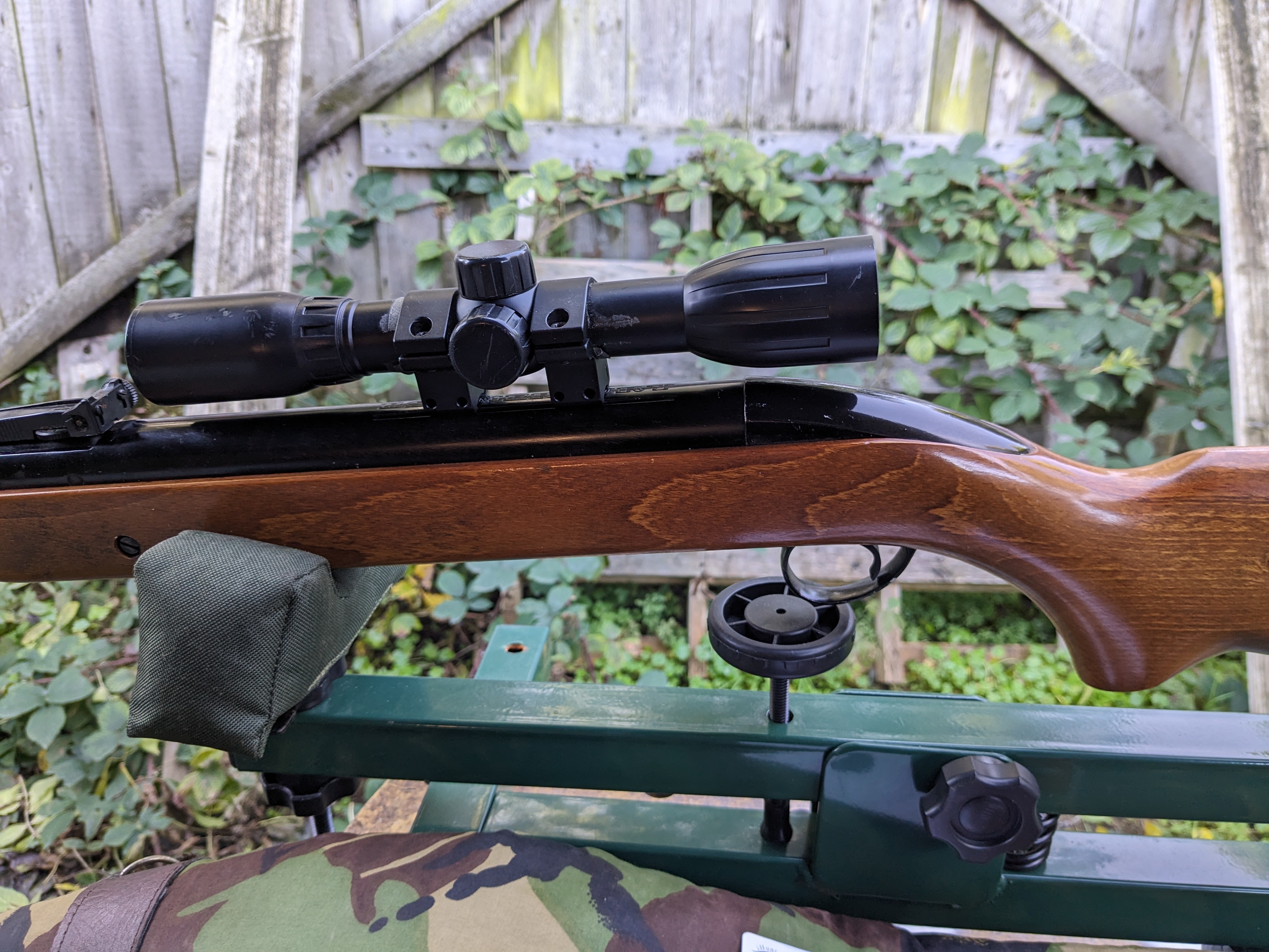 BSA Mercury