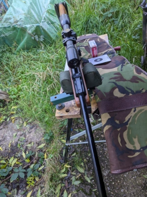 Firearm: BSA Mercury 