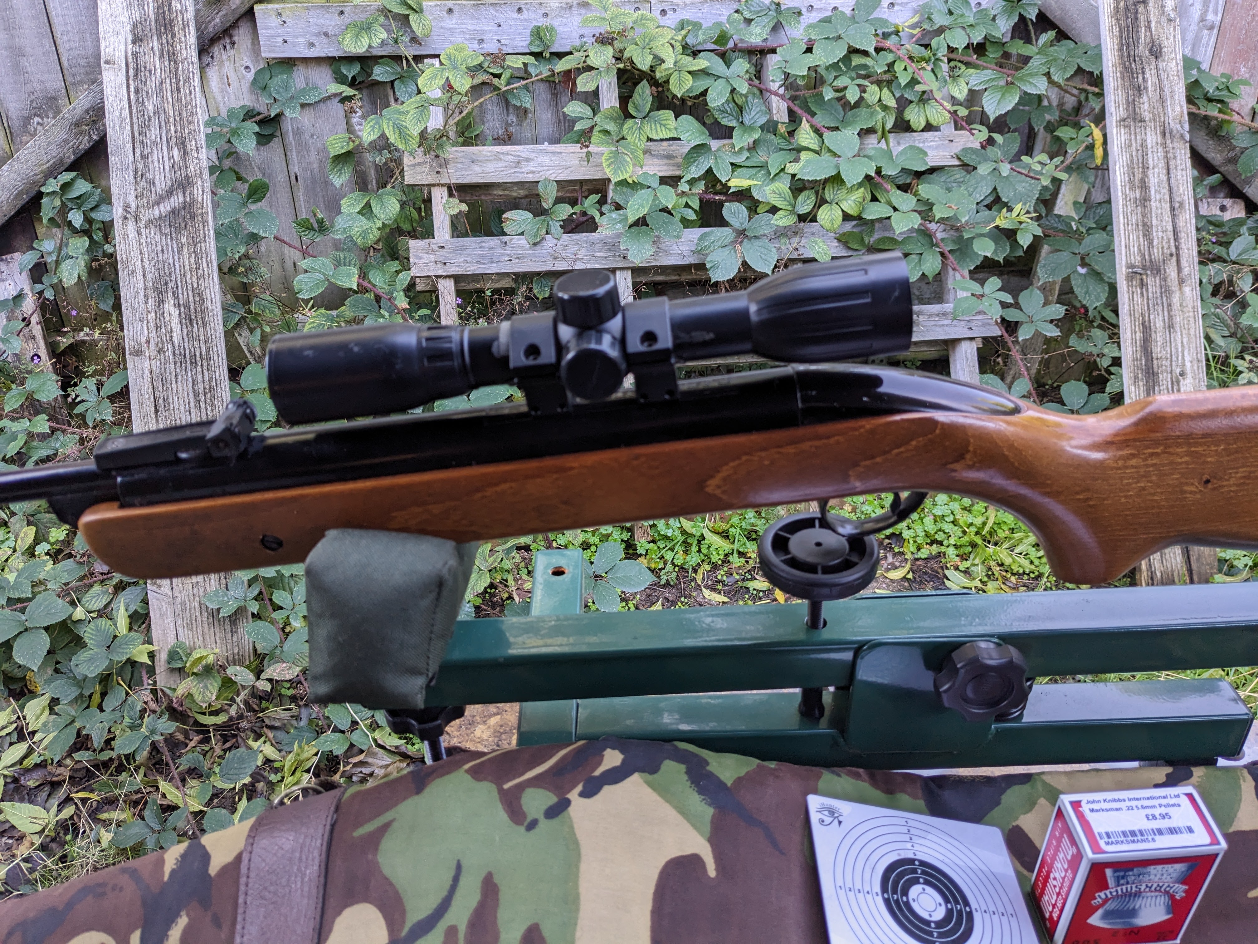 BSA Mercury