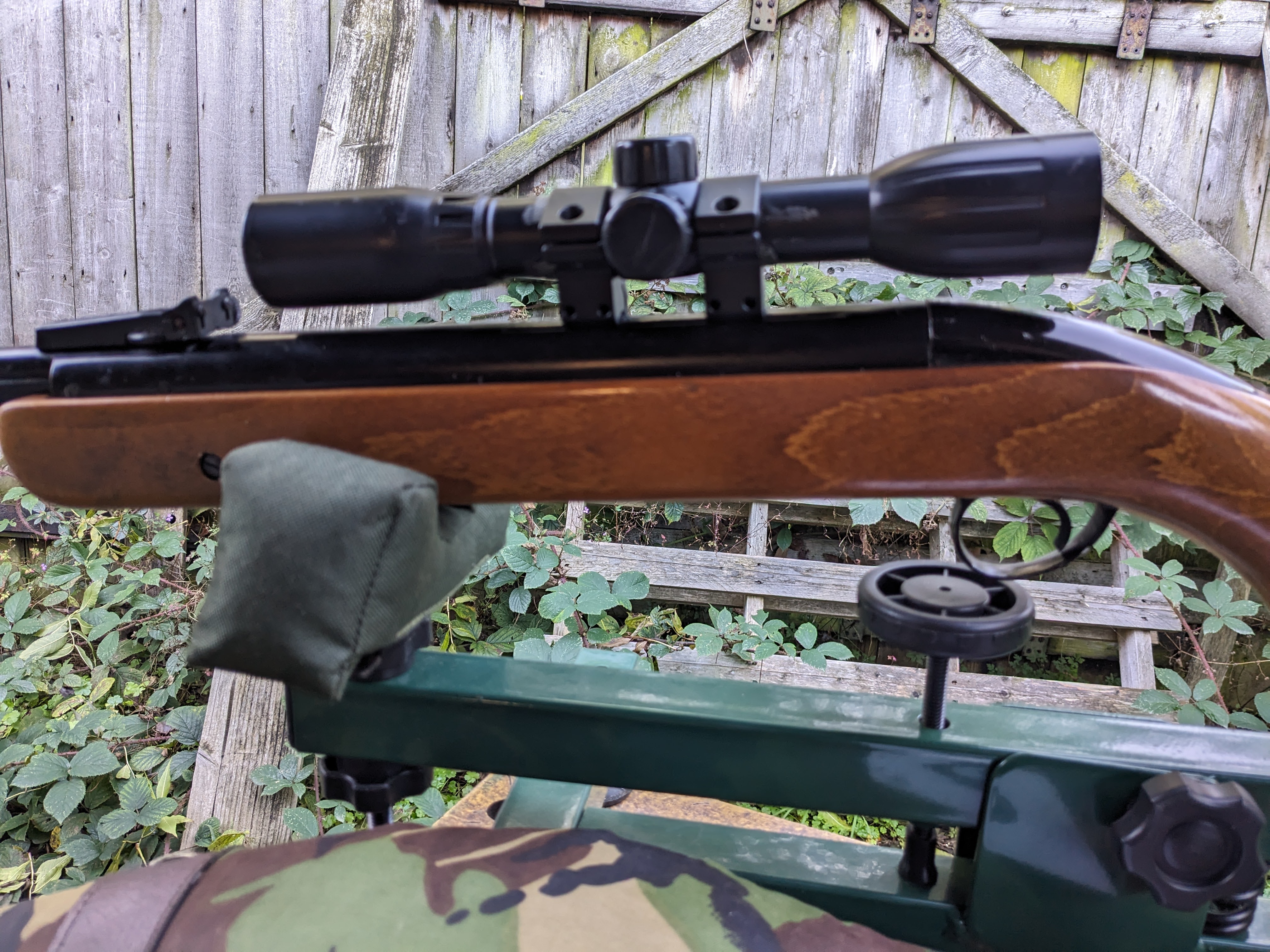 BSA Mercury