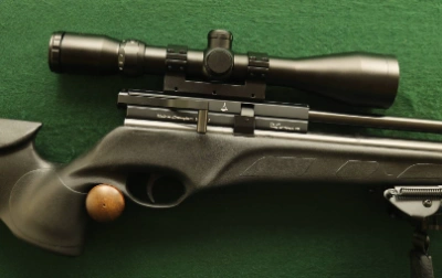 Firearm: BSA Buccaneer Pro Synthetic