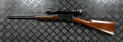 Firearm: Erma Werke EG722 