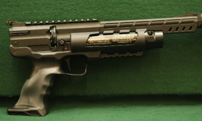 Firearm: Weihrauch HW 44 